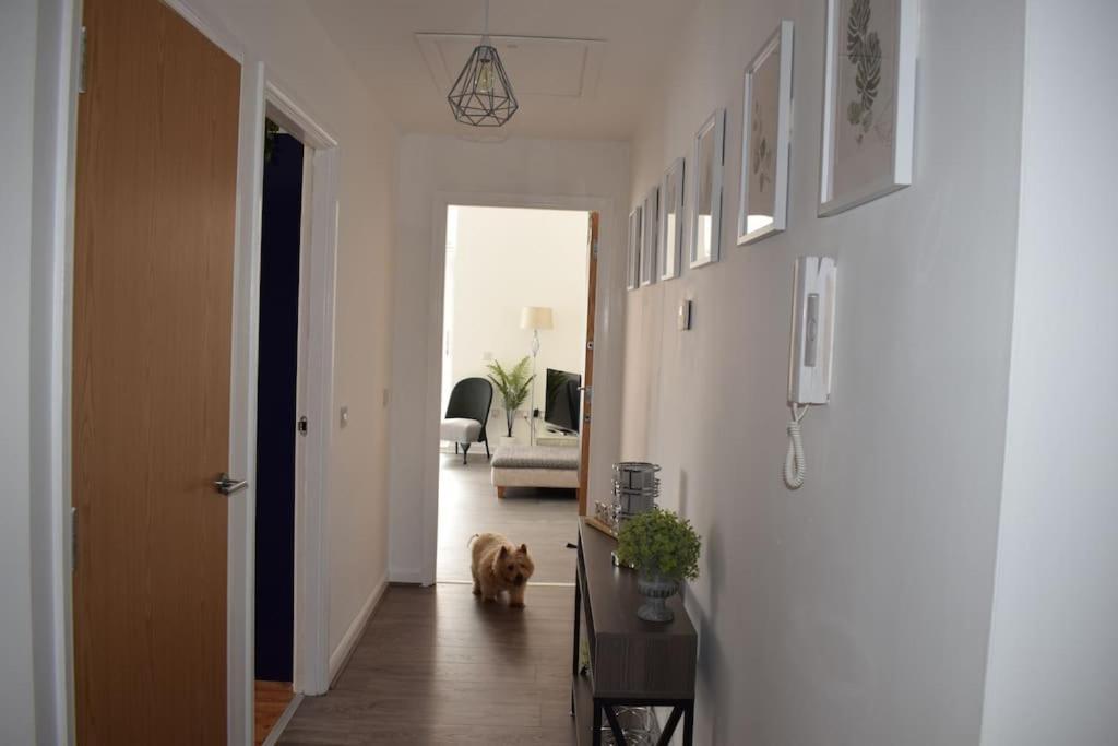 The Paisley Penthouse - Abbey View Apartamento Exterior foto